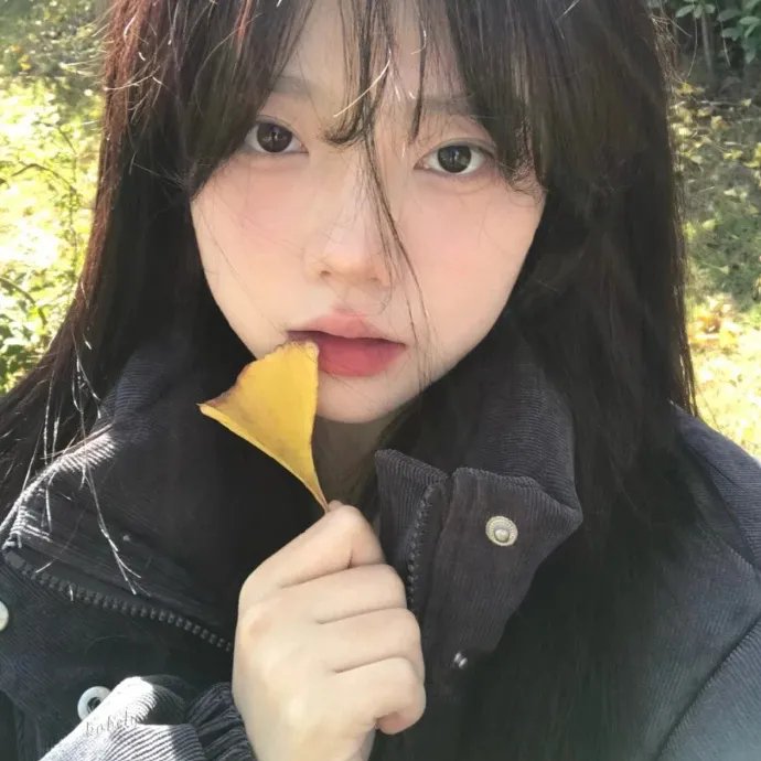 百街日记