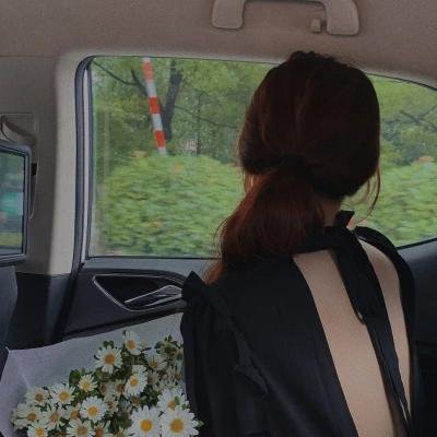 节振国